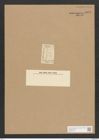 Surirella jenneri Hassall (de-Toni-Nr.: Genus 53, Species 2265) Zeichnungen Sammlung Grunow Nr. 4692 (NHMW-BOT-W0372772)